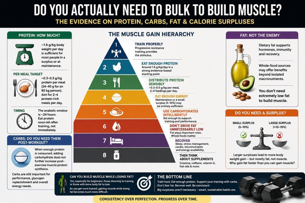 Do You Actually Need to Bulk to Build Muscle? The Evidence on Protein, Carbs, Fat and Calorie Surpluses