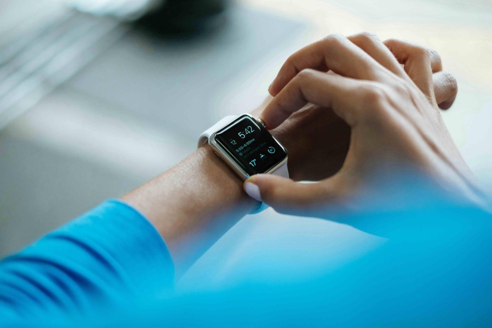 Meal Timing and Gut Health