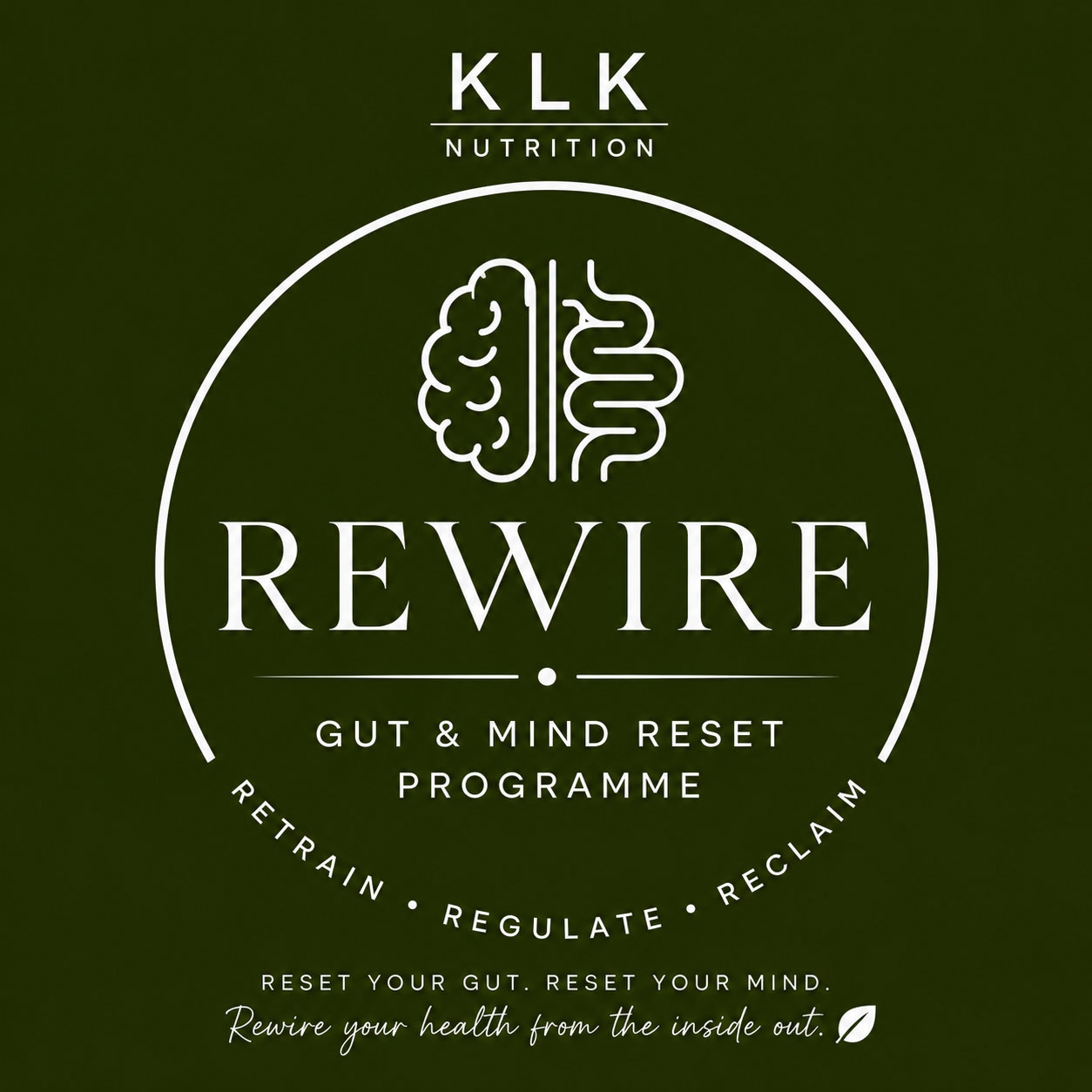 REWIRE Series
